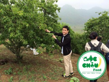 Tháng 5 mùa mận Mộc Châu