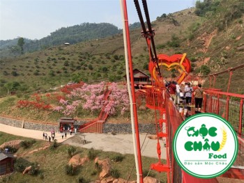 Mộc Châu: xuất hiện cây cầu kính có một không hai ở Việt Nam