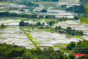 Du lịch Mộc Châu ngắm mùa nước đổ đẹp mộng mơ