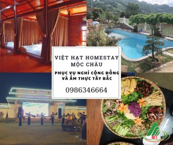 Việt Hạt Homestay Mộc Châu - nhà sàn sang trọng bậc nhất Mộc Châu