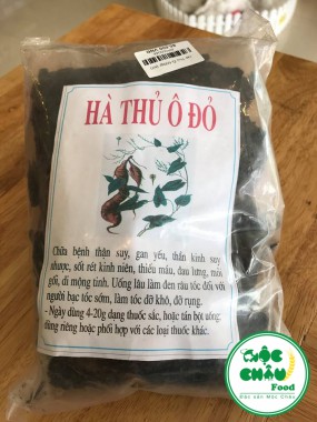 Hà Thủ Ô Đỏ