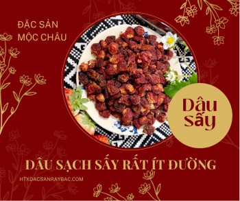 Dâu tây Mộc Châu sấy dẻo ít đường