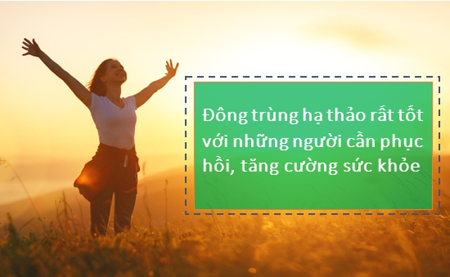 Chuyên gia giải đáp những thắc mắc về Đông trùng hạ thảo: Rất tốt nhưng không phải thần dược! - 9 Chuyên gia giải đáp những thắc mắc về Đông trùng hạ thảo: Rất tốt nhưng không phải thần dược! - 9
