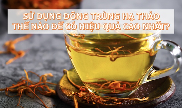 Chuyên gia giải đáp những thắc mắc về Đông trùng hạ thảo: Rất tốt nhưng không phải thần dược! - 11 Chuyên gia giải đáp những thắc mắc về Đông trùng hạ thảo: Rất tốt nhưng không phải thần dược! - 11