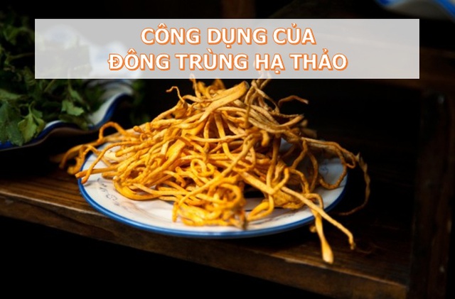 Chuyên gia giải đáp những thắc mắc về Đông trùng hạ thảo: Rất tốt nhưng không phải thần dược! - 8 Chuyên gia giải đáp những thắc mắc về Đông trùng hạ thảo: Rất tốt nhưng không phải thần dược! - 8