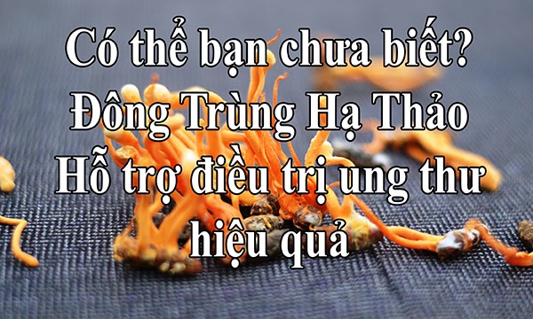 Dong trung ha thao tri ung thu 1