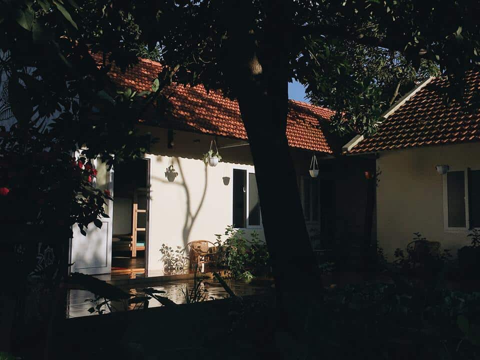 Bơ House