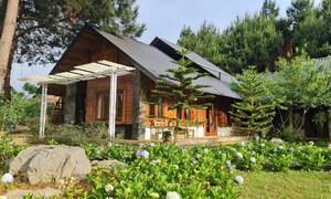 homestay đẹp mộc châu