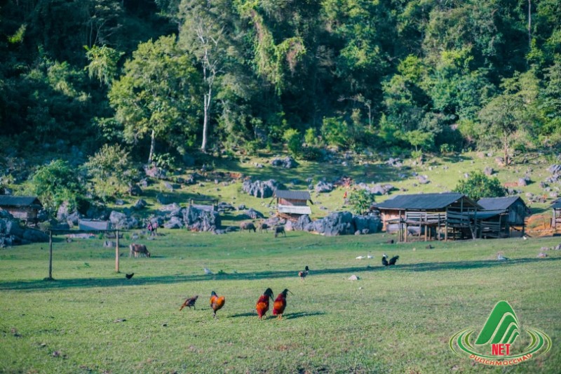 hang tau ta so moc chau lang nguyen thuy (5) (Copy)