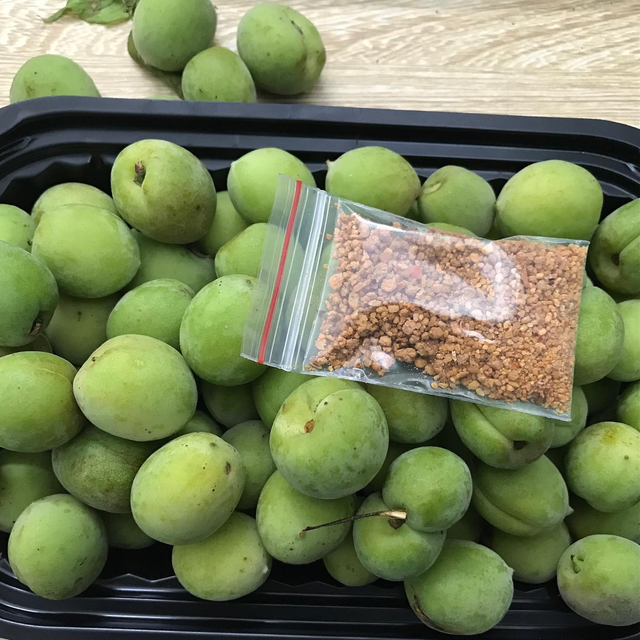 Mơ xanh đầu mùa giá bán gấp đôi so với thời điểm chính vụ, nhiều người vẫn săn lùng - Ảnh 2. Mơ xanh đầu mùa giá bán gấp đôi so với thời điểm chính vụ, nhiều người vẫn săn lùng - Ảnh 2.