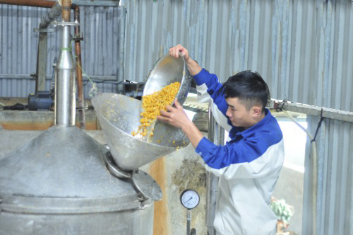 Rượu Mộc Sa