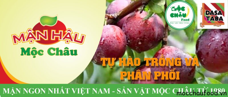 mận hậu mộc châu